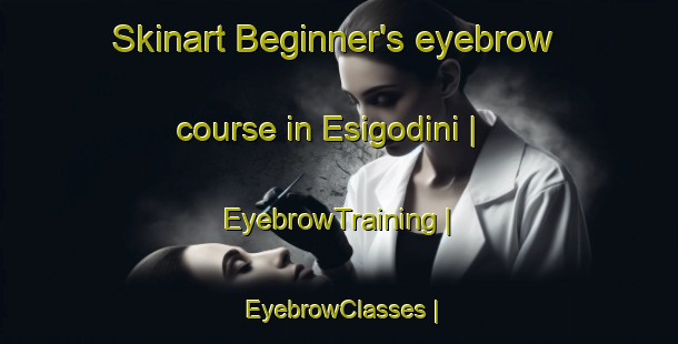Skinart Beginner's eyebrow course in Esigodini | EyebrowTraining | EyebrowClasses | SkinartTraining-Zimbabwe